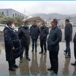 副市長王繼松一行春節前蒞臨桐梓公司指導工作 