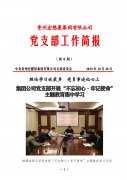 集團(tuán)公司黨支部開展“不忘初心·牢記使命”主題教育集中學(xué)習(xí) 